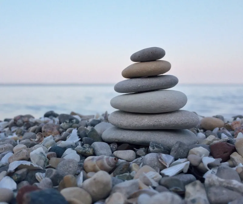 Gut Health & The Immune System