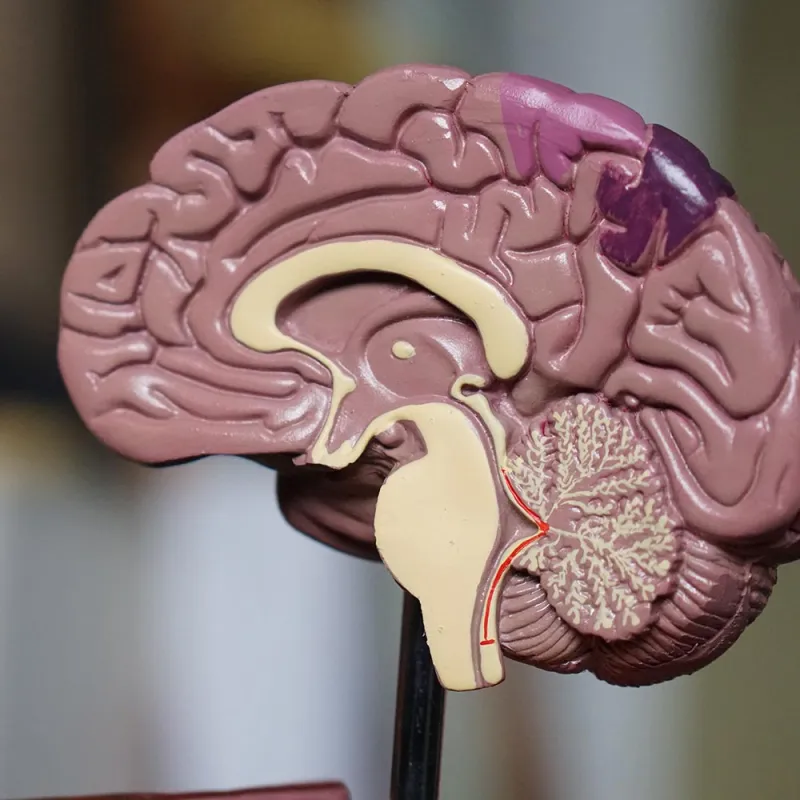 How to Heal from Brain Injury